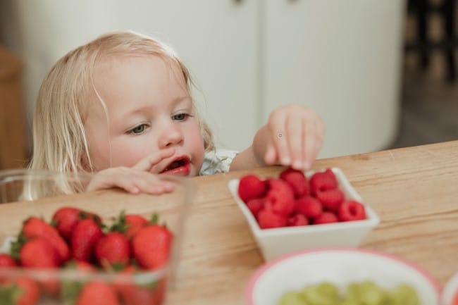 child eating raspberries